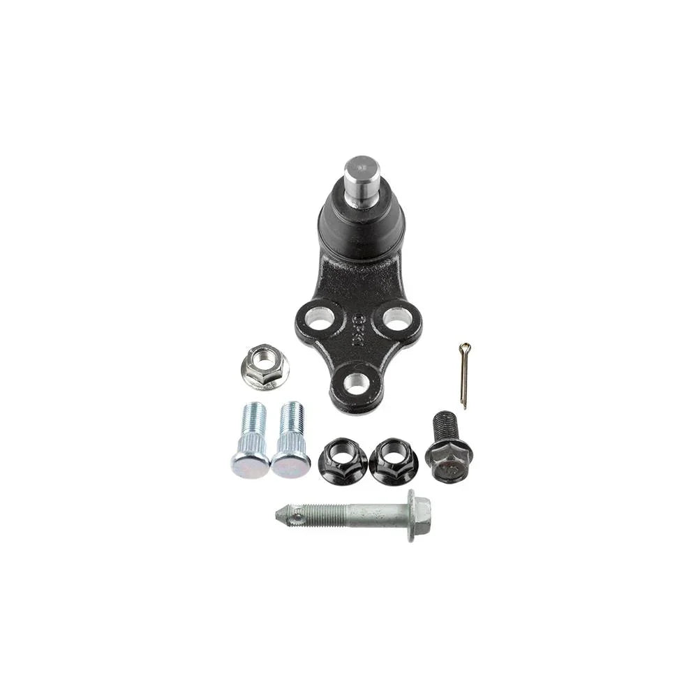 00353913701_jpg