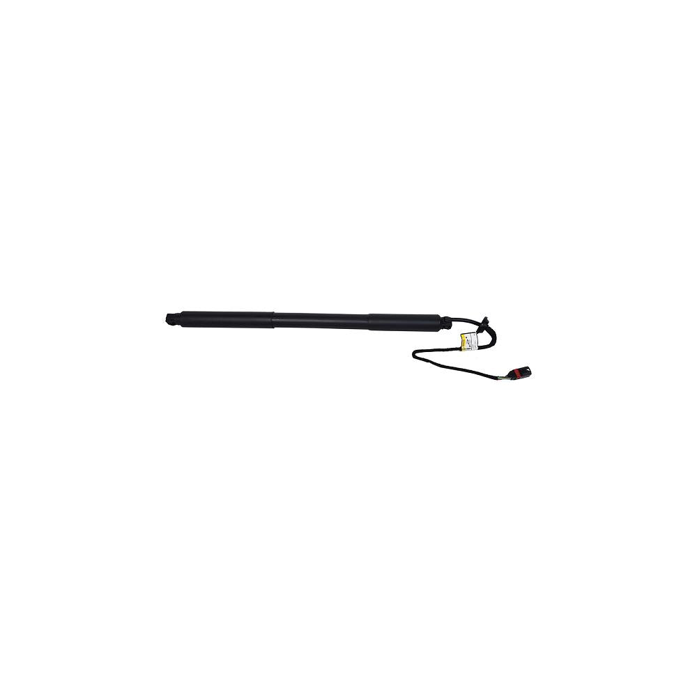 Amortizor portbagaj electric dr. Asam Automotive 100168