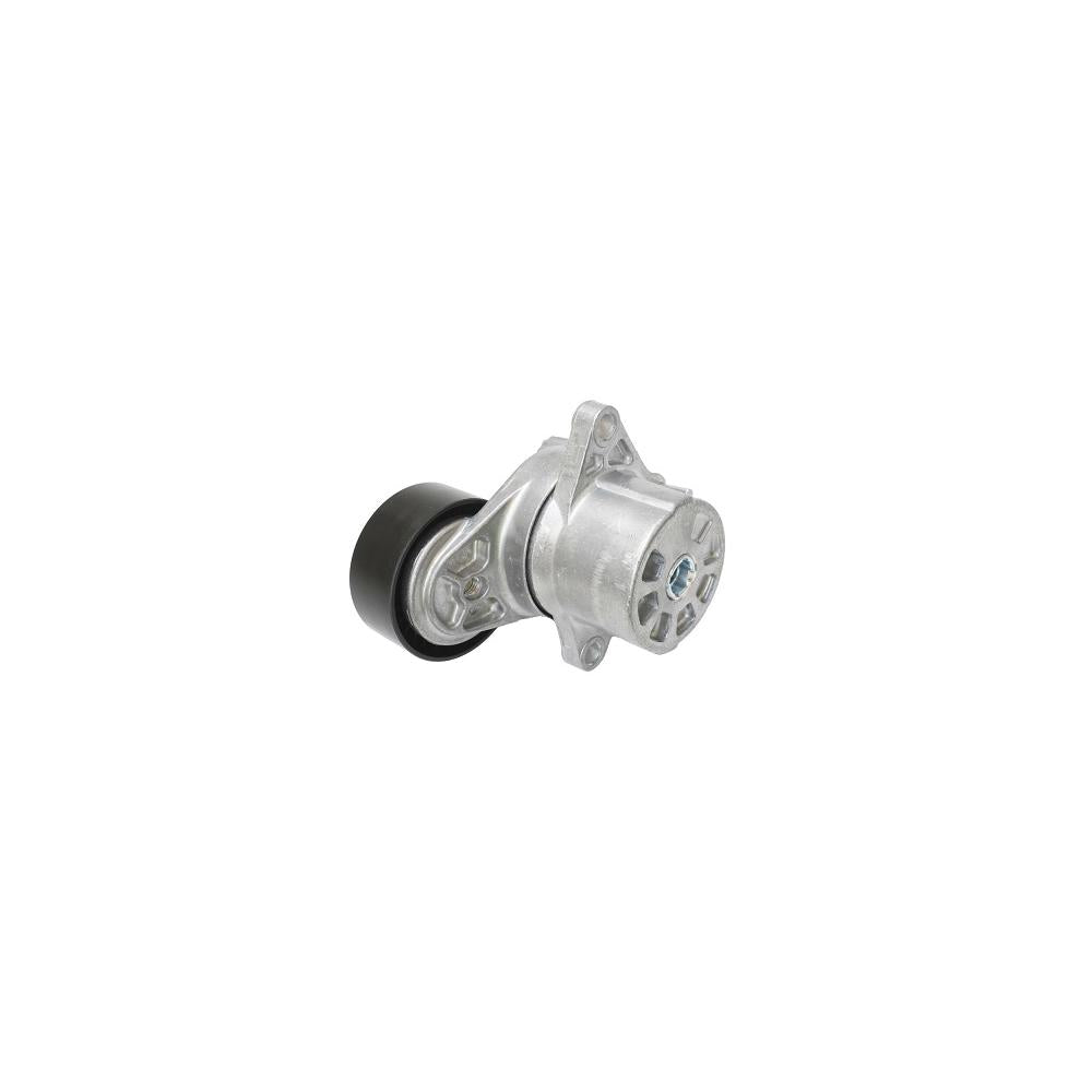 Intinzator curea transmisie Asam Automotive 101290
