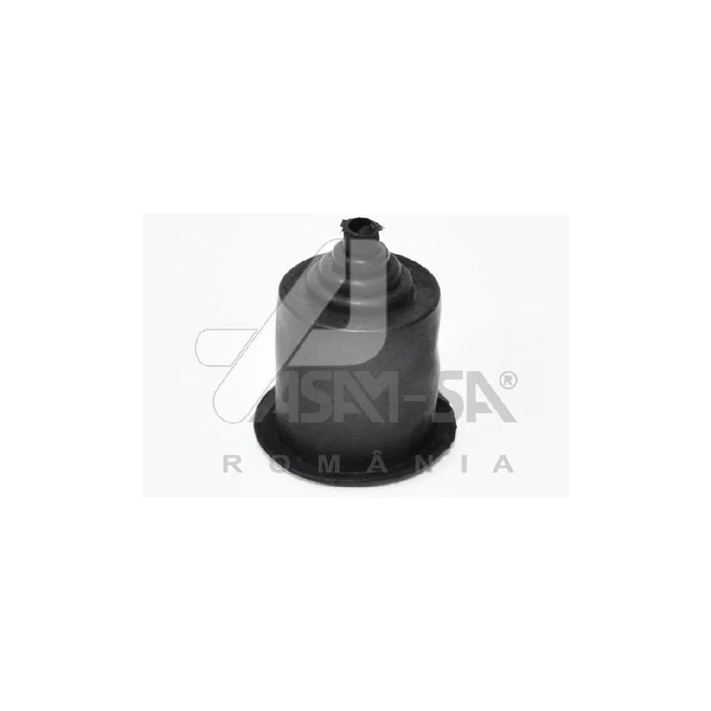 Protectie reglaj far Asam Automotive 30175