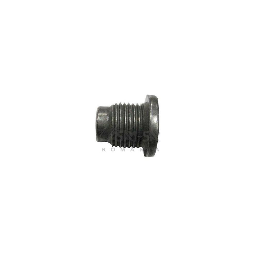 Buson baie ulei Asam Automotive 30385