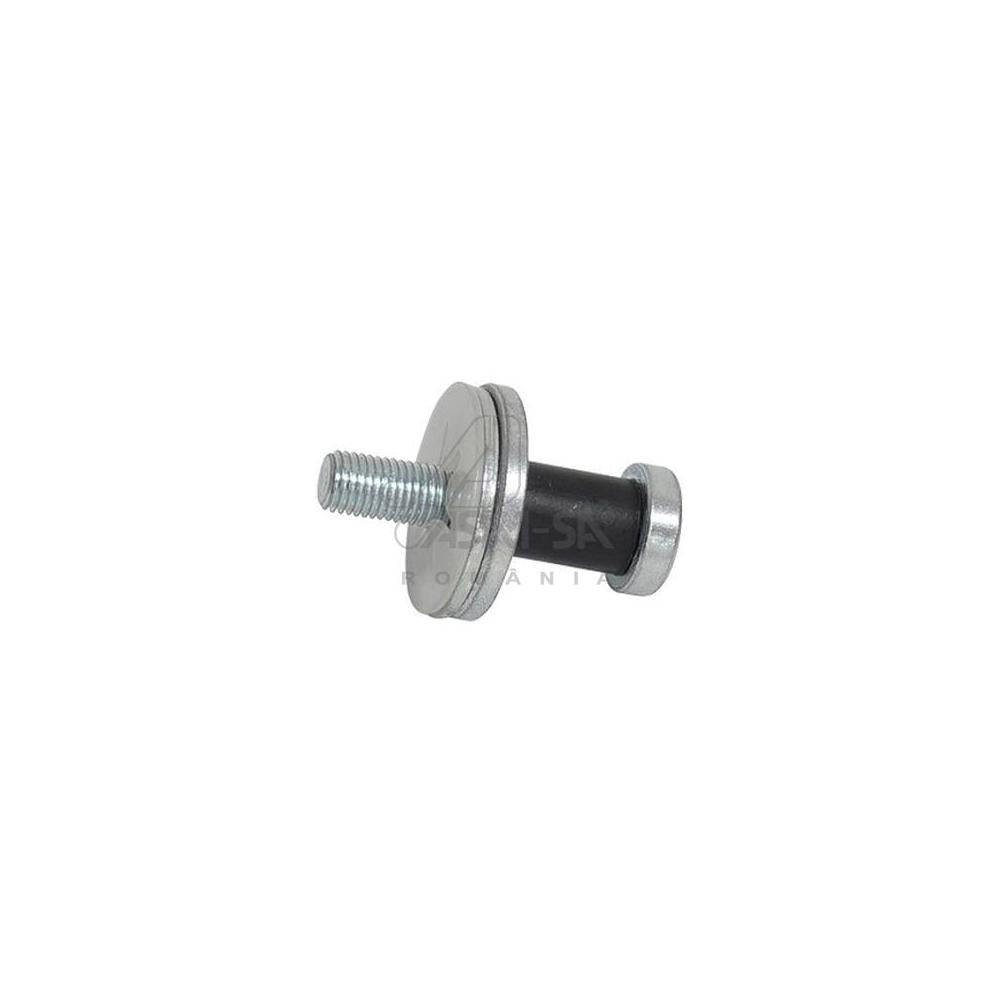 Bolt usa (cremaliera) Asam Automotive 30587