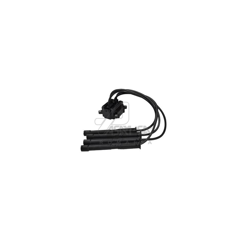 Bobina inductie (cu fise) Asam Automotive 30638