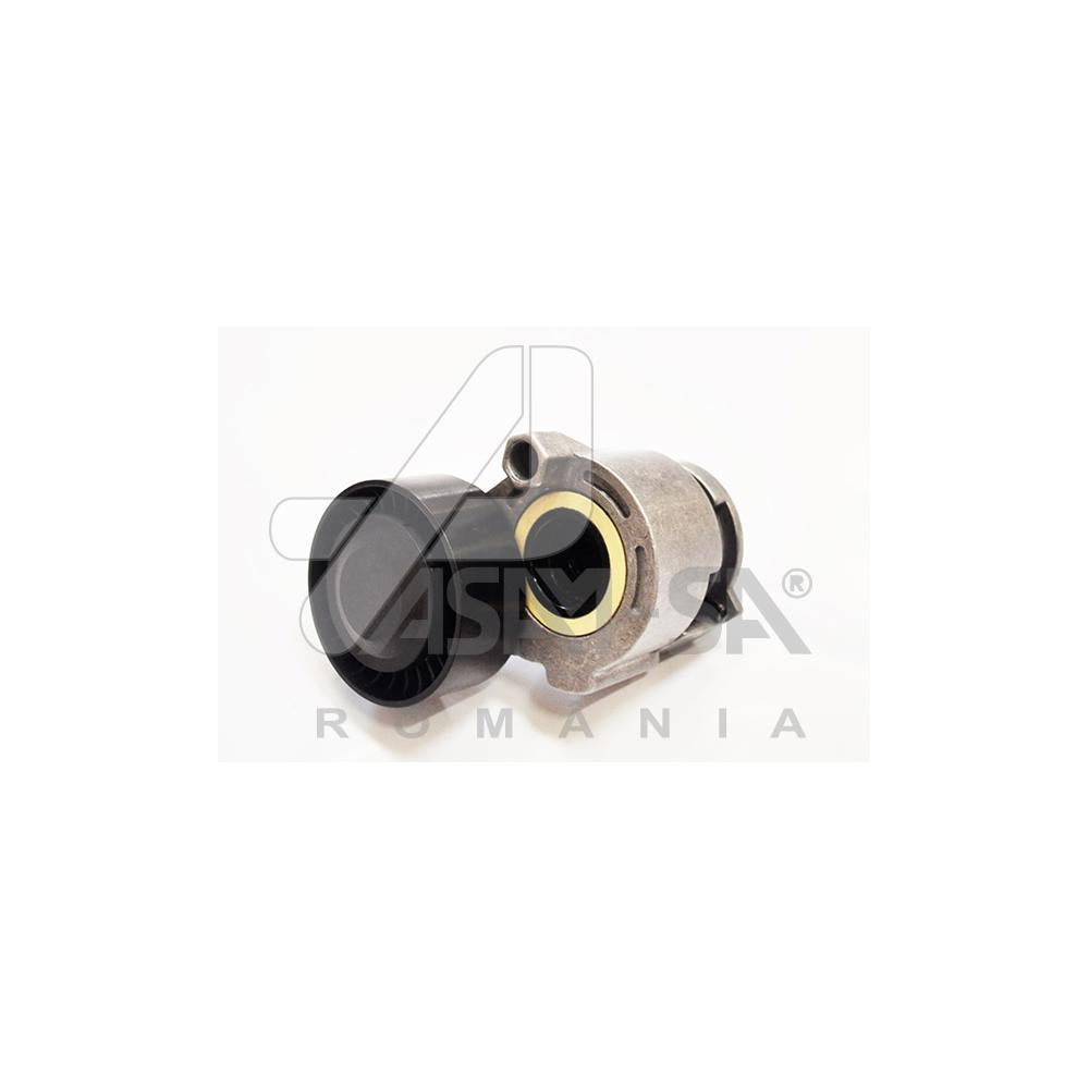 Intinzator curea transmisie Asam Automotive 30686