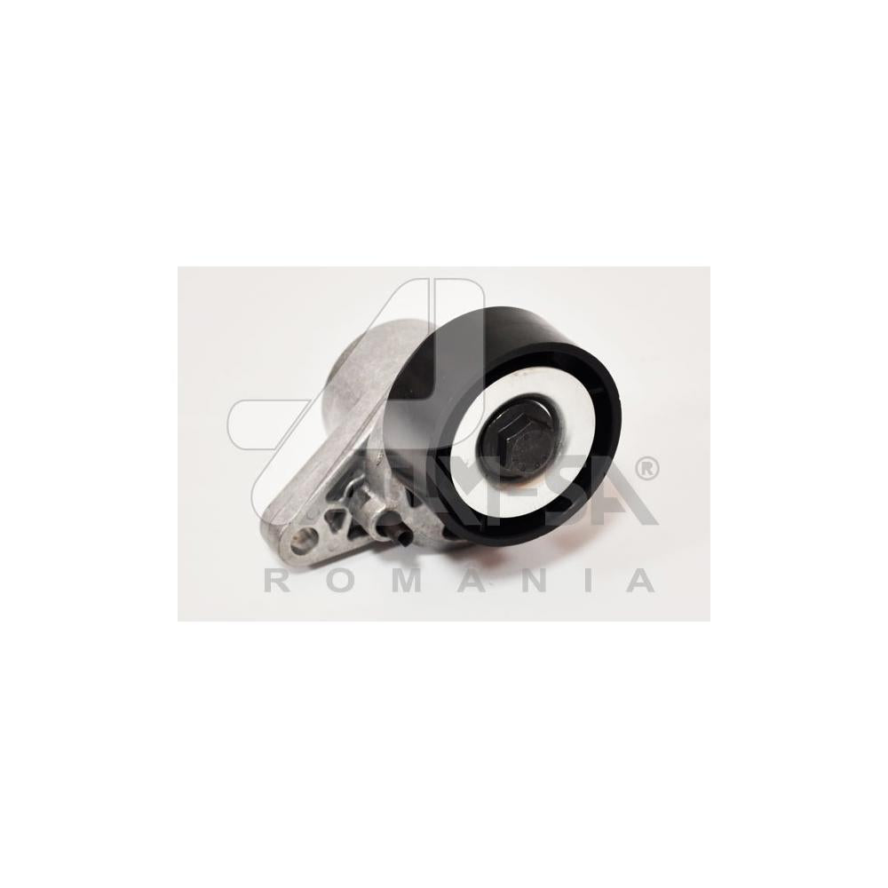 Rola intinzatoare transmisie Asam Automotive 30687