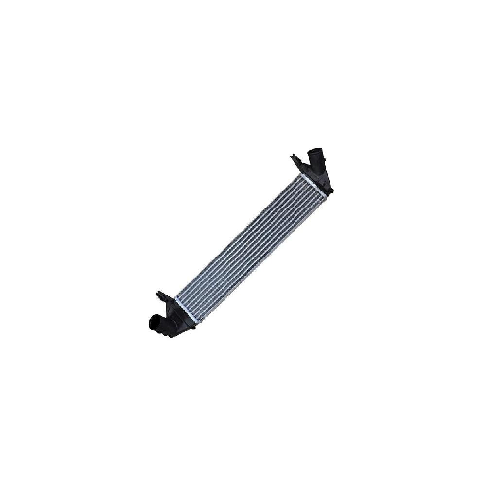 Radiator intercooler (lung) Asam Automotive 30909