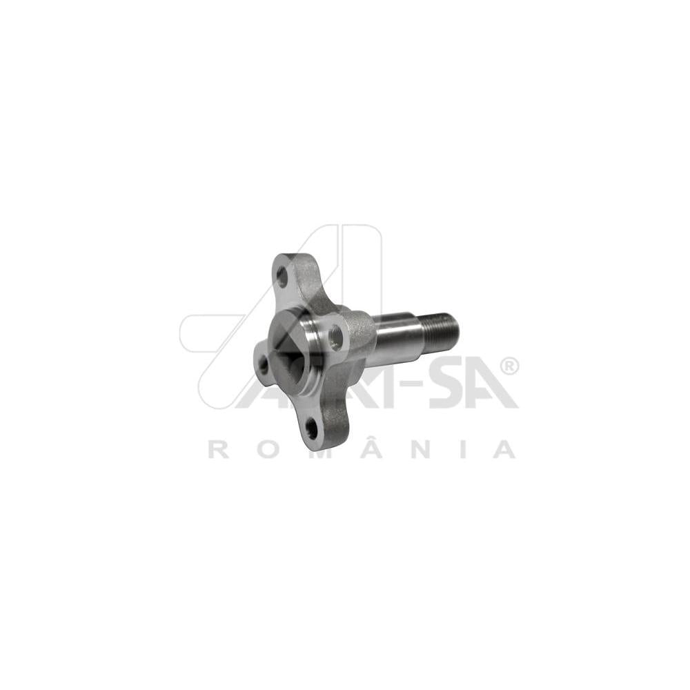 Butuc roata spate 4X2 Asam Automotive 32035