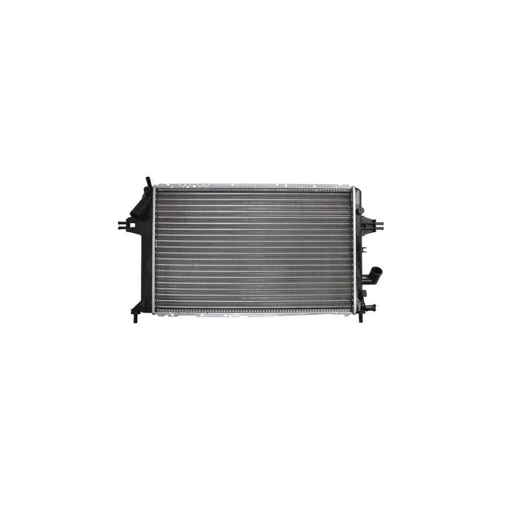 Radiator motor Asam Automotive 32192