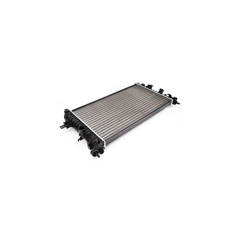 Radiator motor Asam Automotive 32193