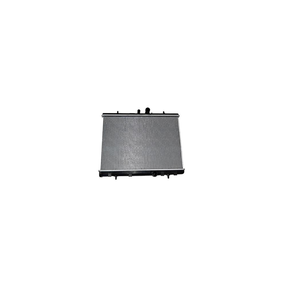 Radiator motor Asam Automotive 32194