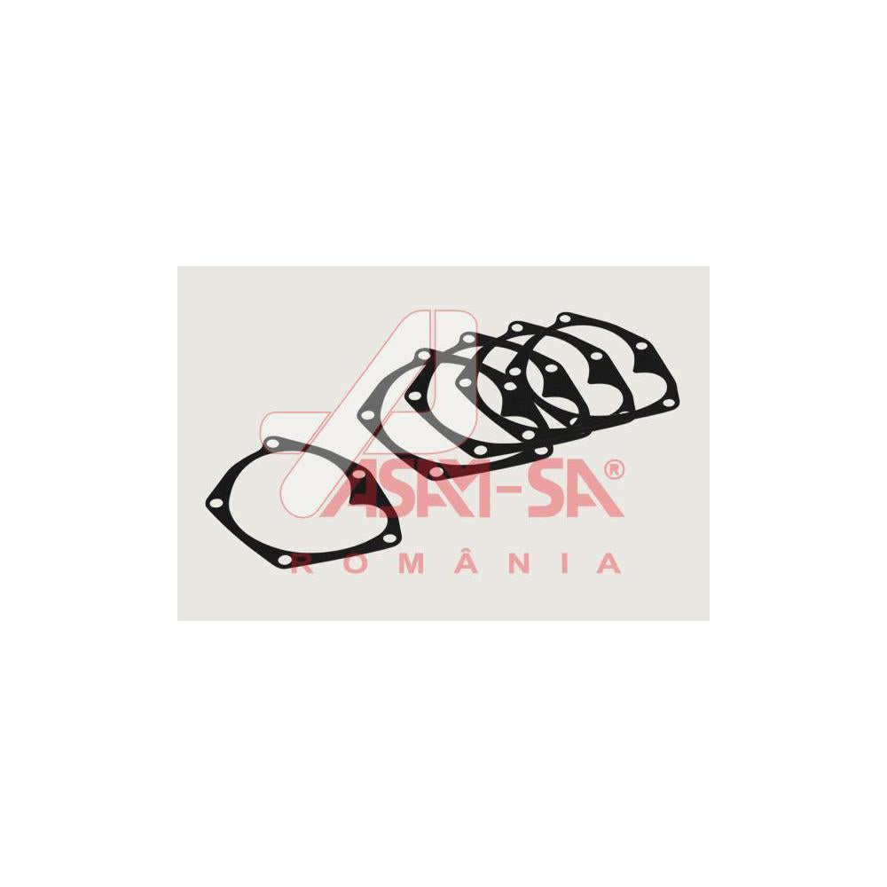 Garnitura pompa APA(10BCSET) Asam Automotive 32221