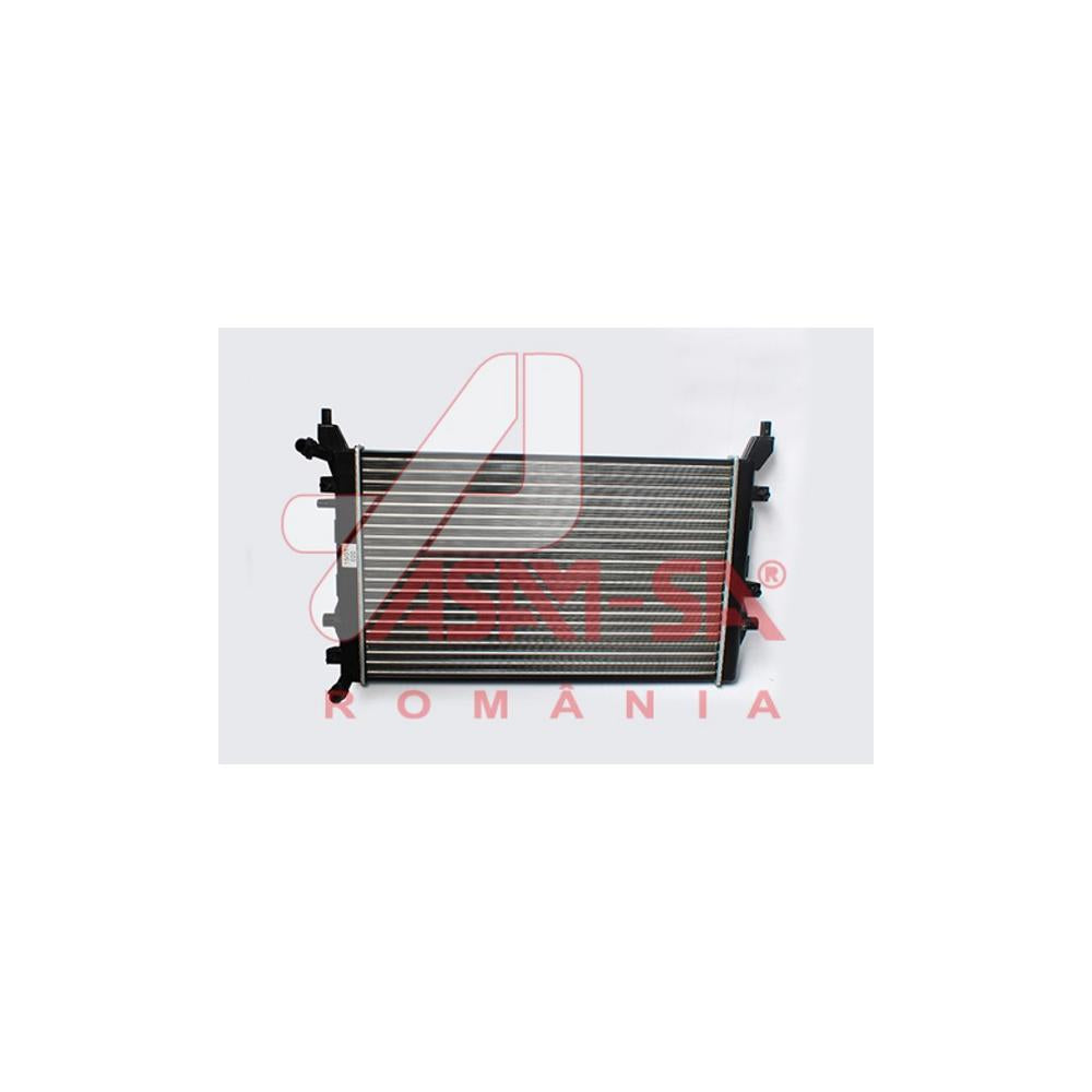Radiator motor Asam Automotive 32433
