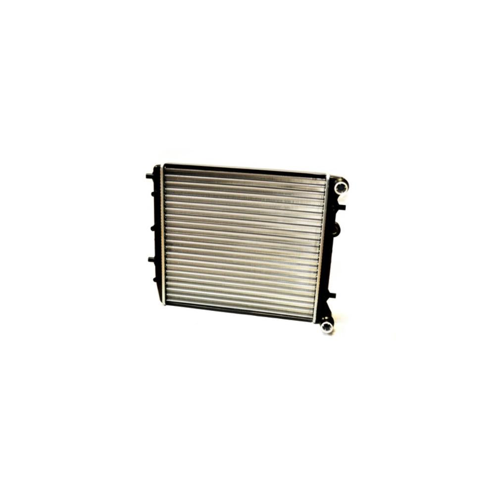 Radiator motor Asam Automotive 32536