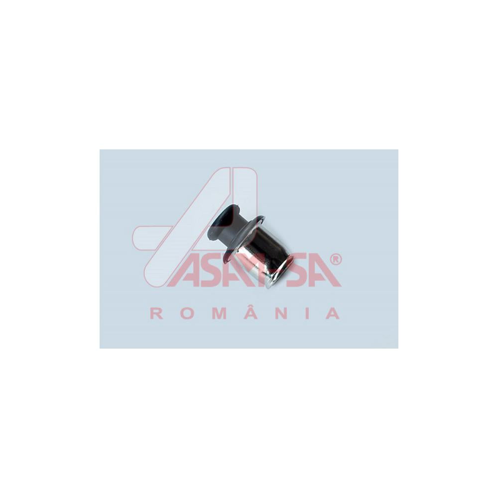 Bricheta Asam Automotive 32670