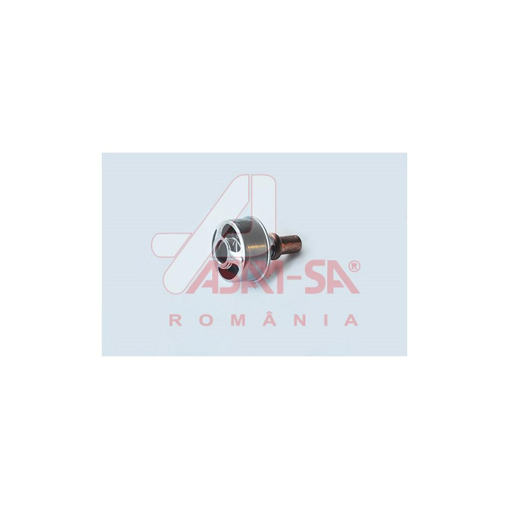 Termostat D1310 Asam Automotive 32677