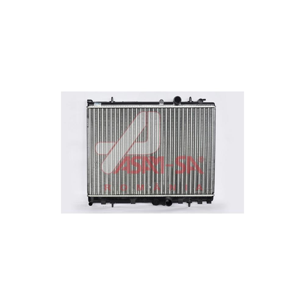 Radiator motor Asam Automotive 32857