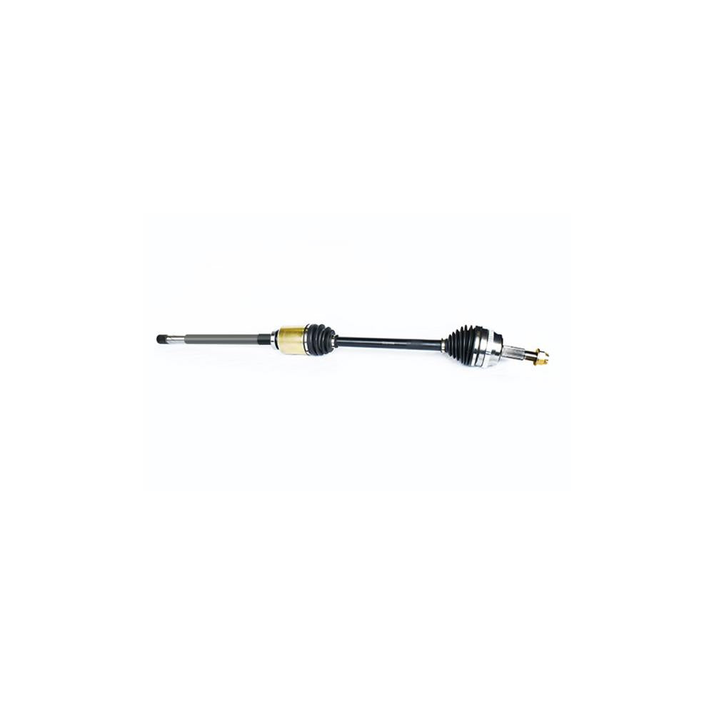 Planetara Asam Automotive 34963