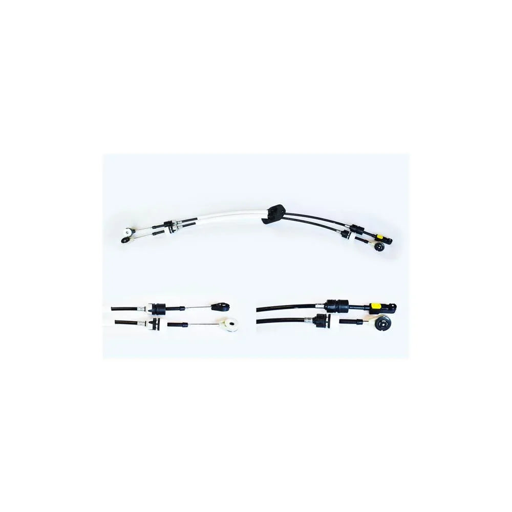 3926d36e-b953-423a-80ac-1154868dd2c3