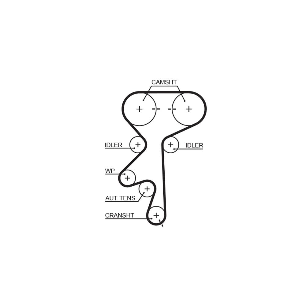 Gates - curea distributie 5499XS