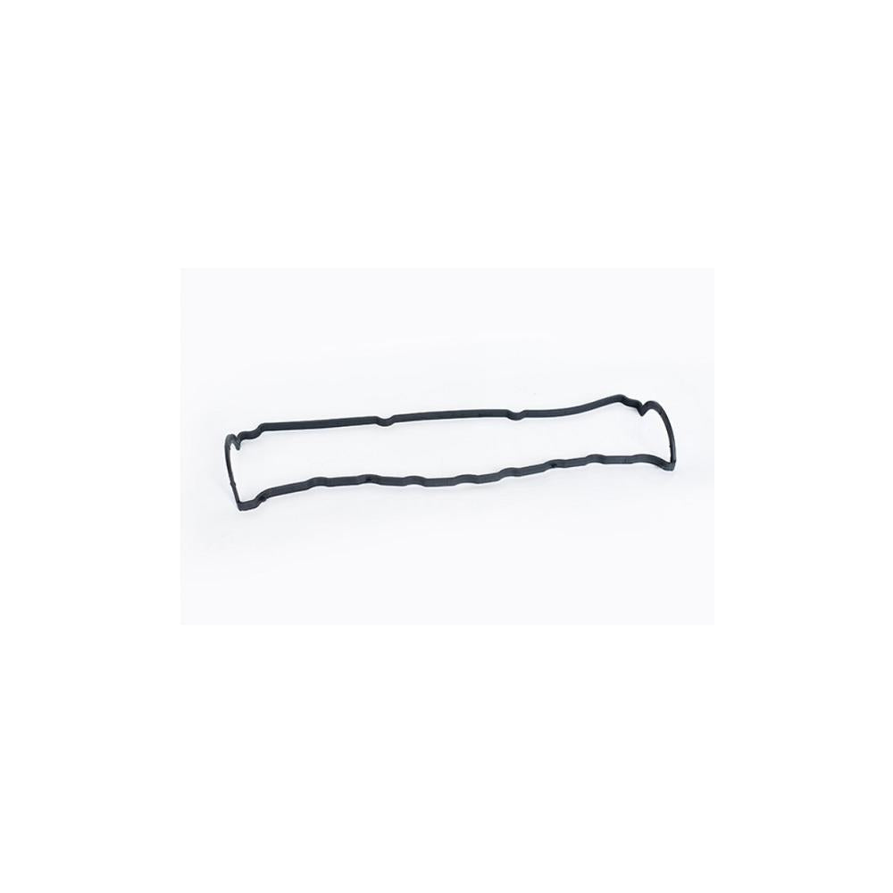 Garnitura capac Asam Automotive 55061