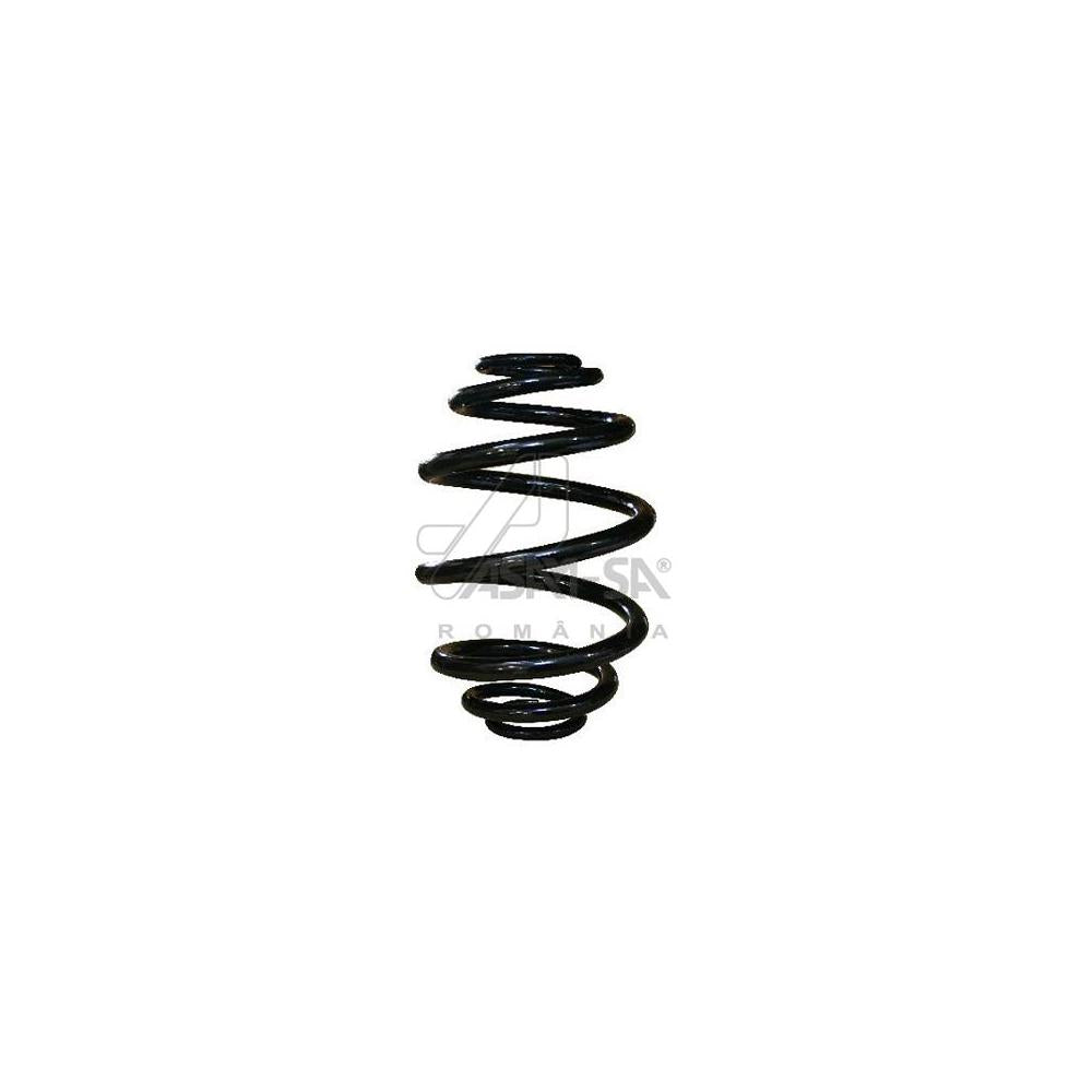 Arc suspensie spate Asam Automotive 55144