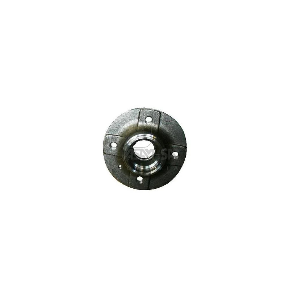 Butuc roata spate Asam Automotive 55182