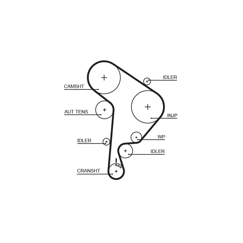 Gates - curea distributie 5559XS