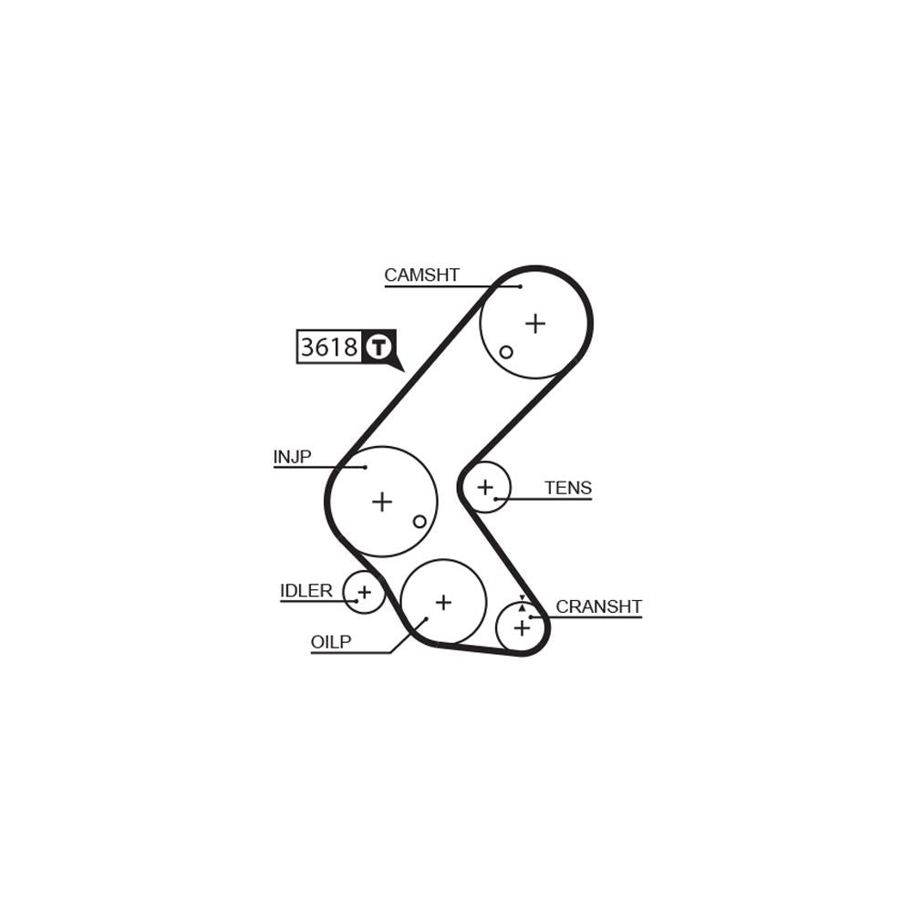 Gates - curea distributie 5563XS
