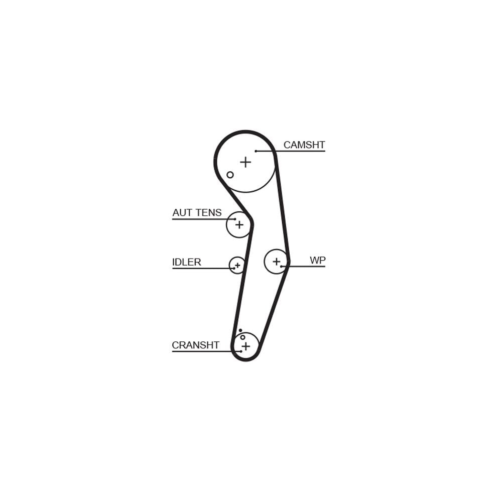Gates - curea distributie 5569XS