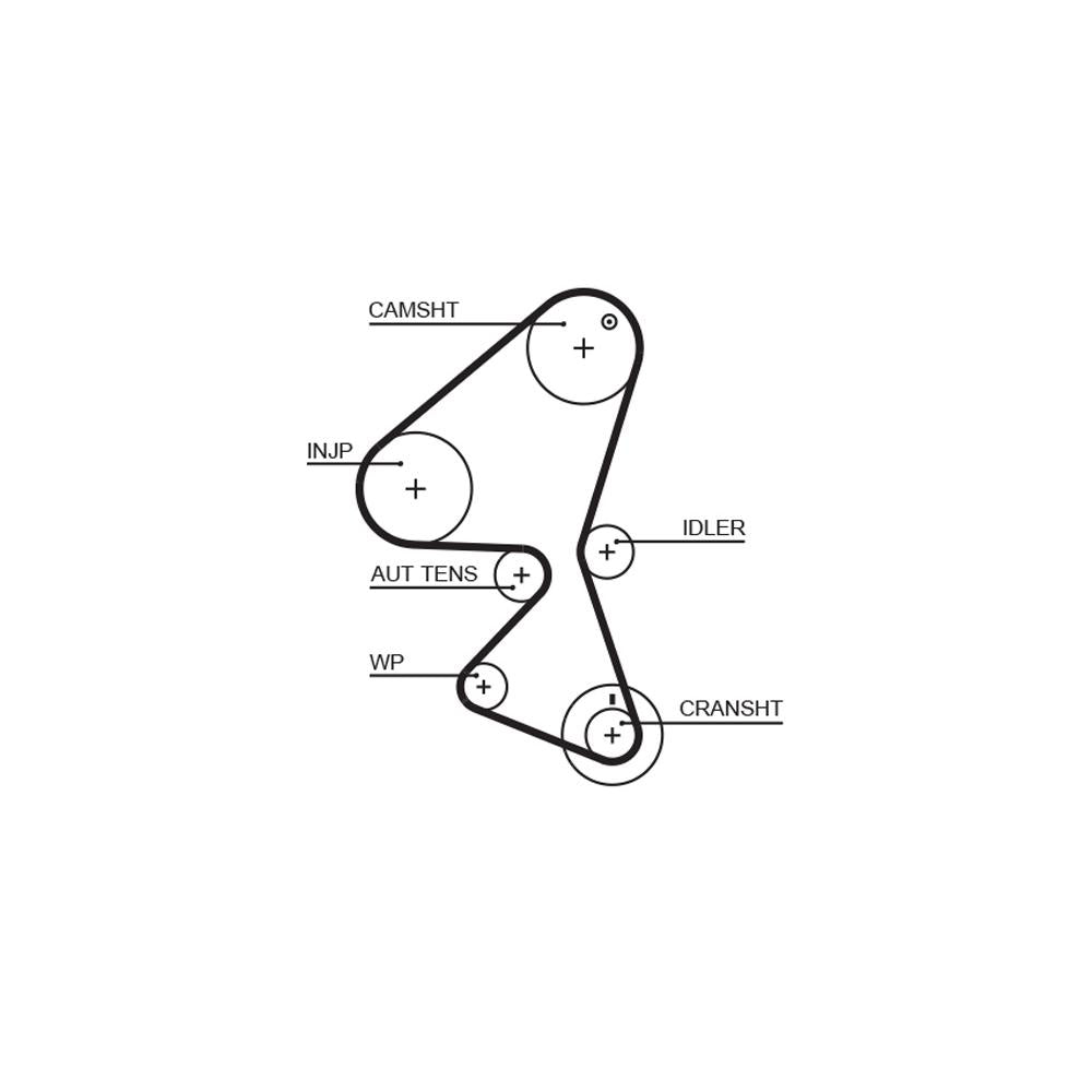 Gates - curea distributie 5587XS