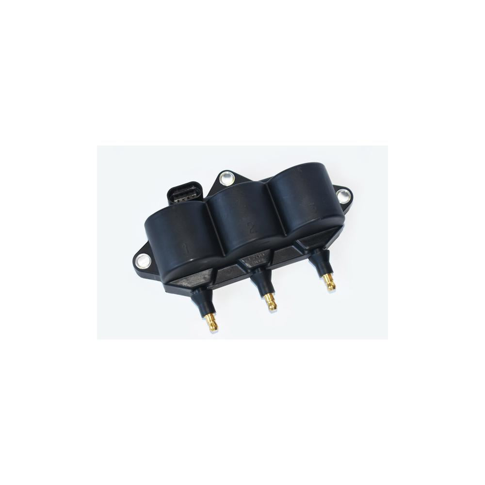 Bobina inductie Asam Automotive 55912