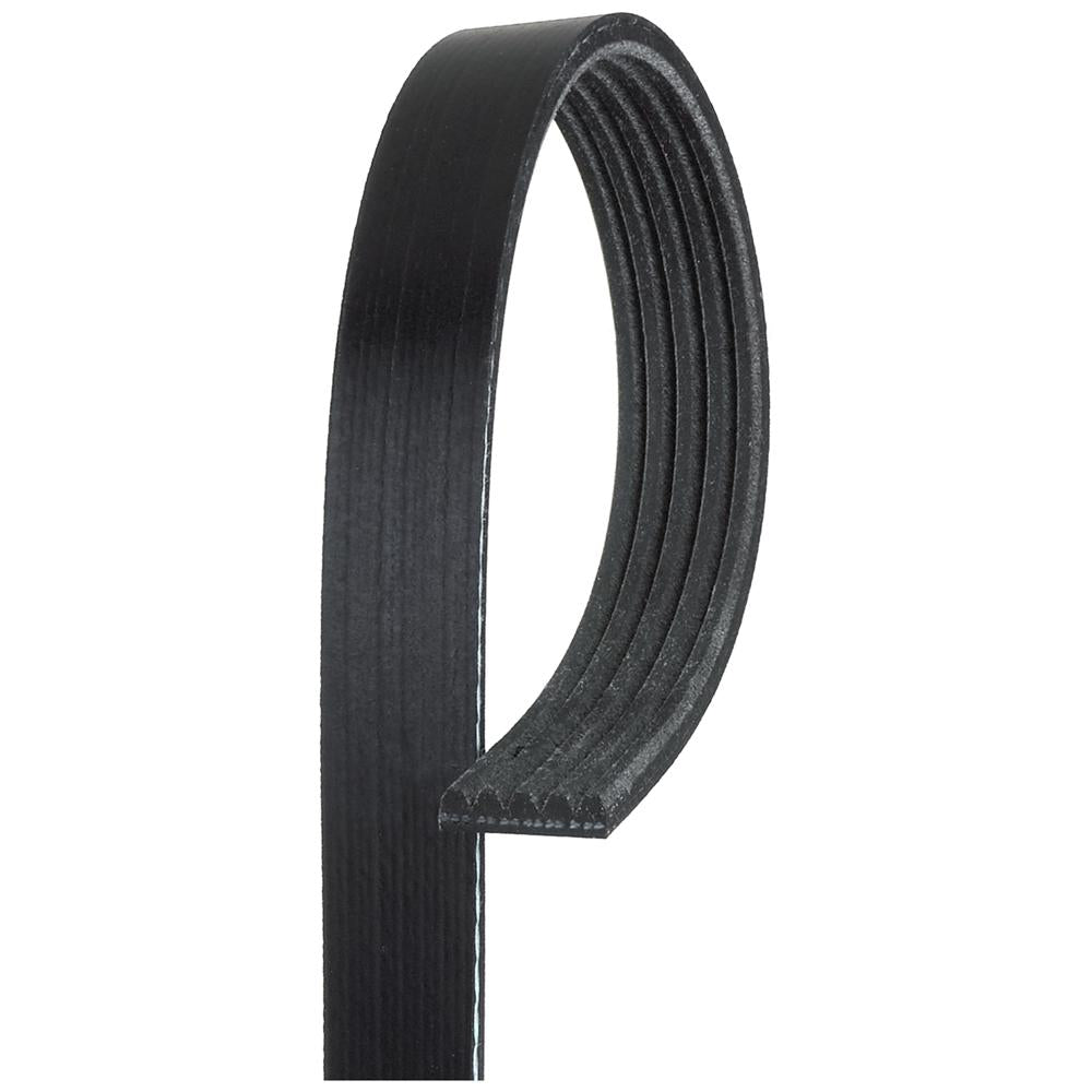 Gates- curea transmisie canelata 5PK885