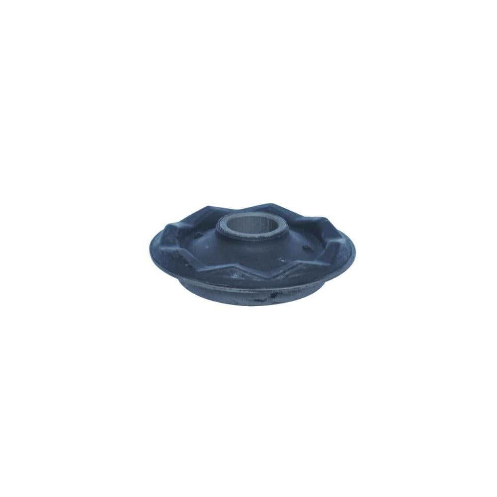 Bucsa Asam Automotive 70675