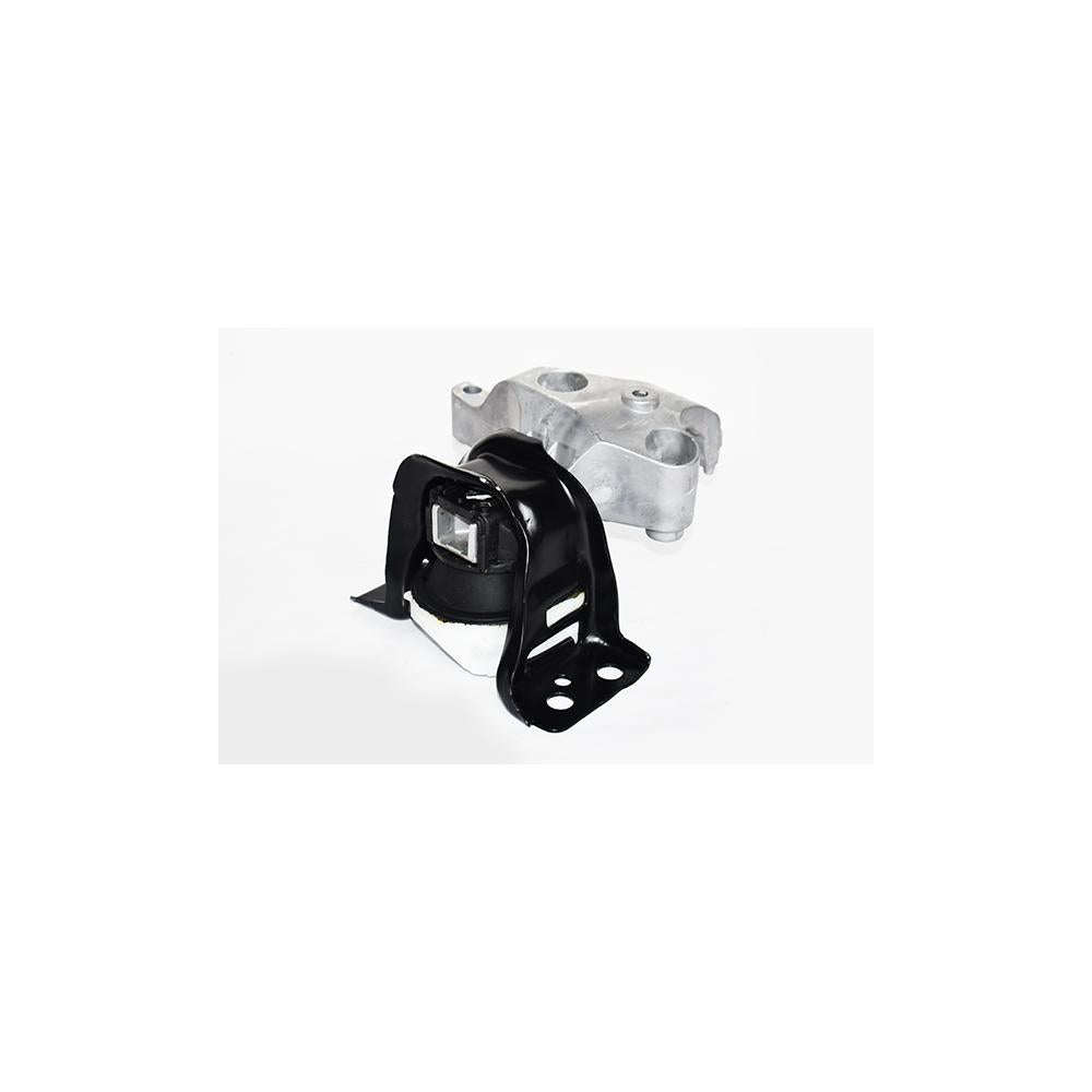 Tampon motor dr. Asam Automotive 73550