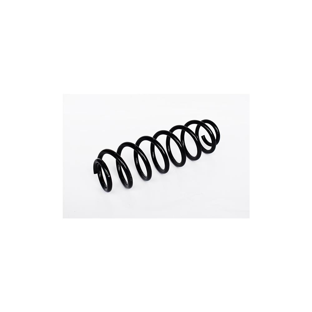 Arc suspensie spate Asam Automotive 73731