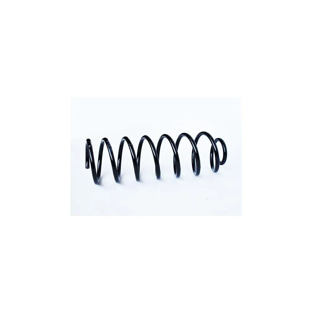Arc suspensie spate Asam Automotive 73762