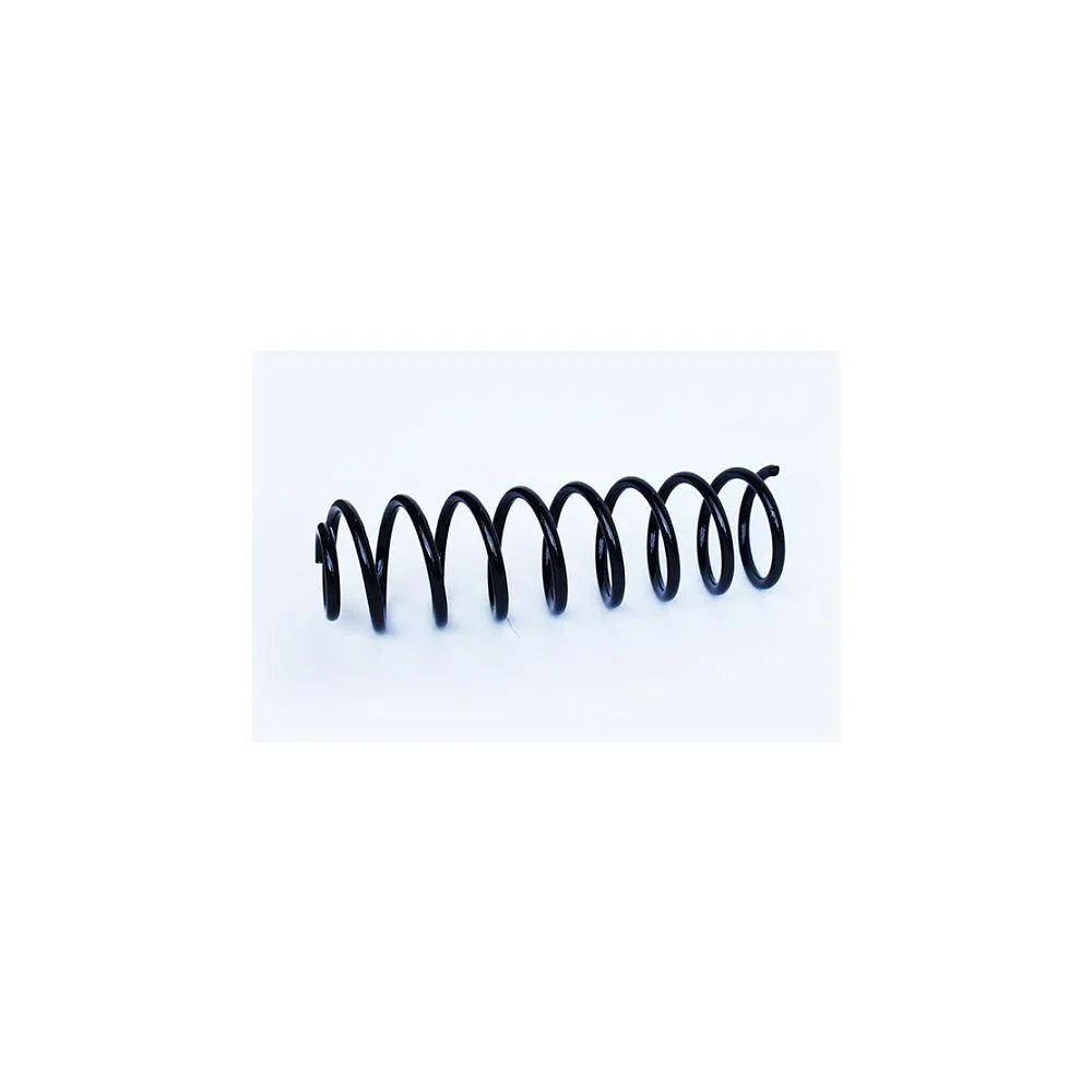 Arc suspensie spate Asam Automotive 73768