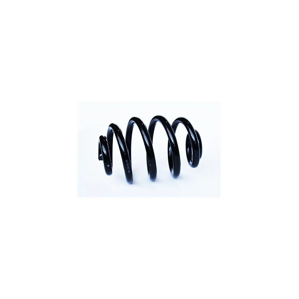 Arc suspensie spate Asam Automotive 73772