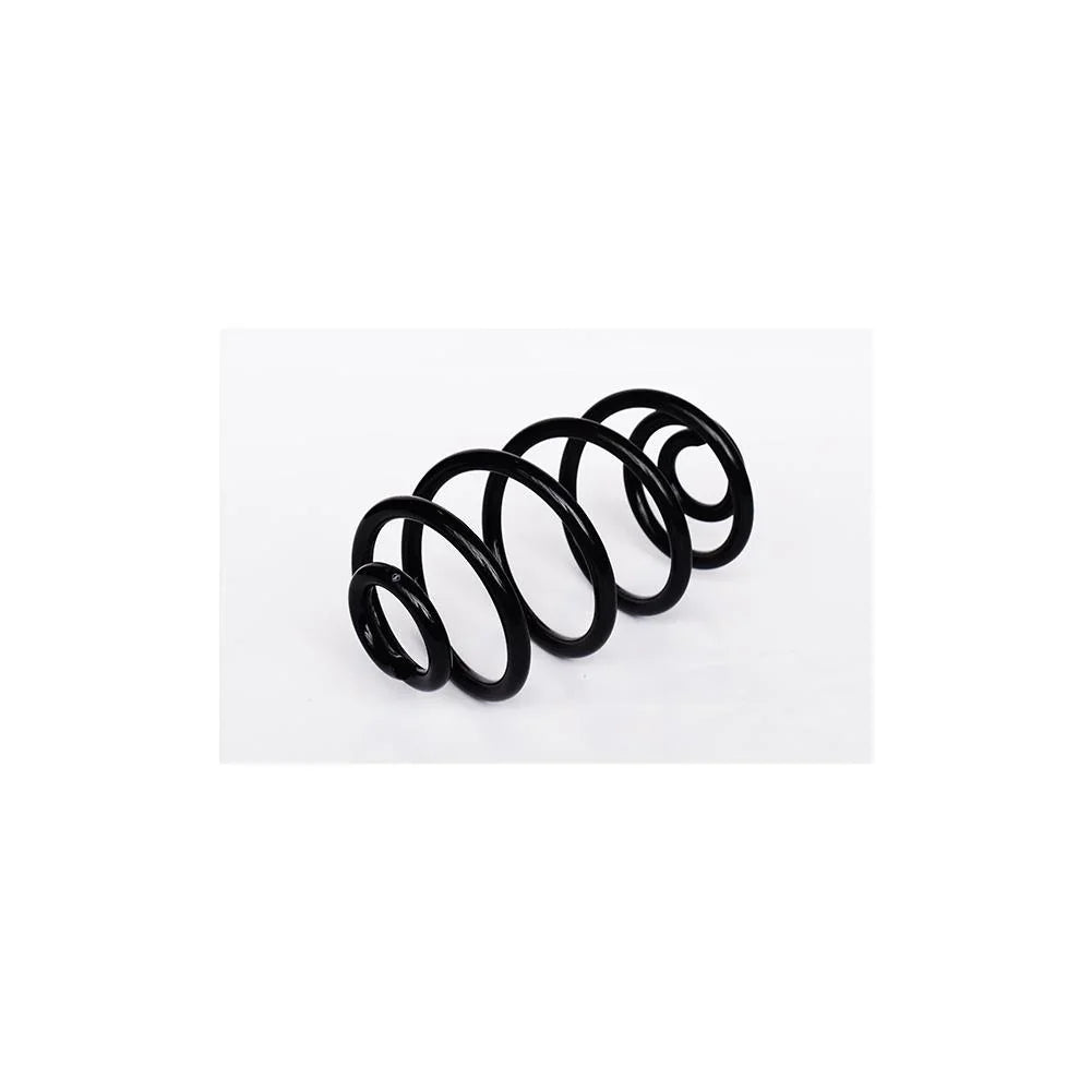 Arc suspensie spate Asam Automotive 73776