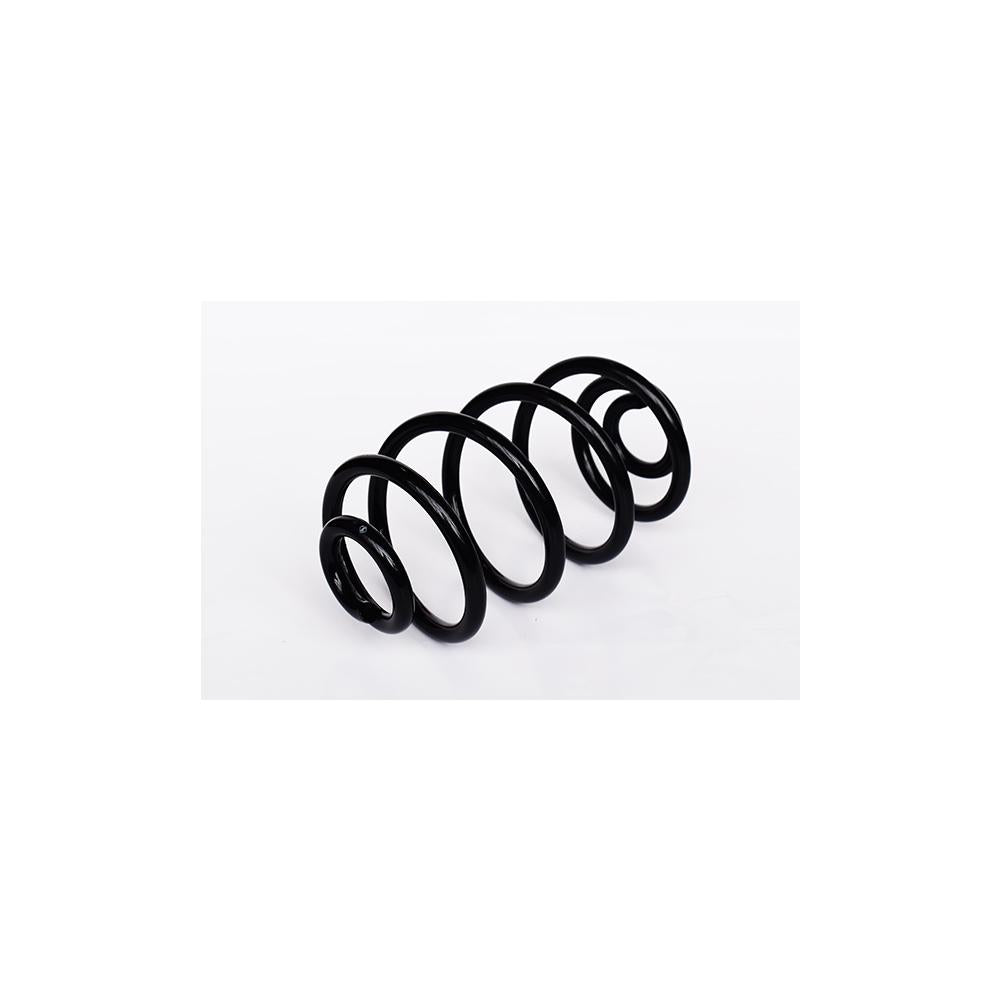 Arc suspensie spate Asam Automotive 73776