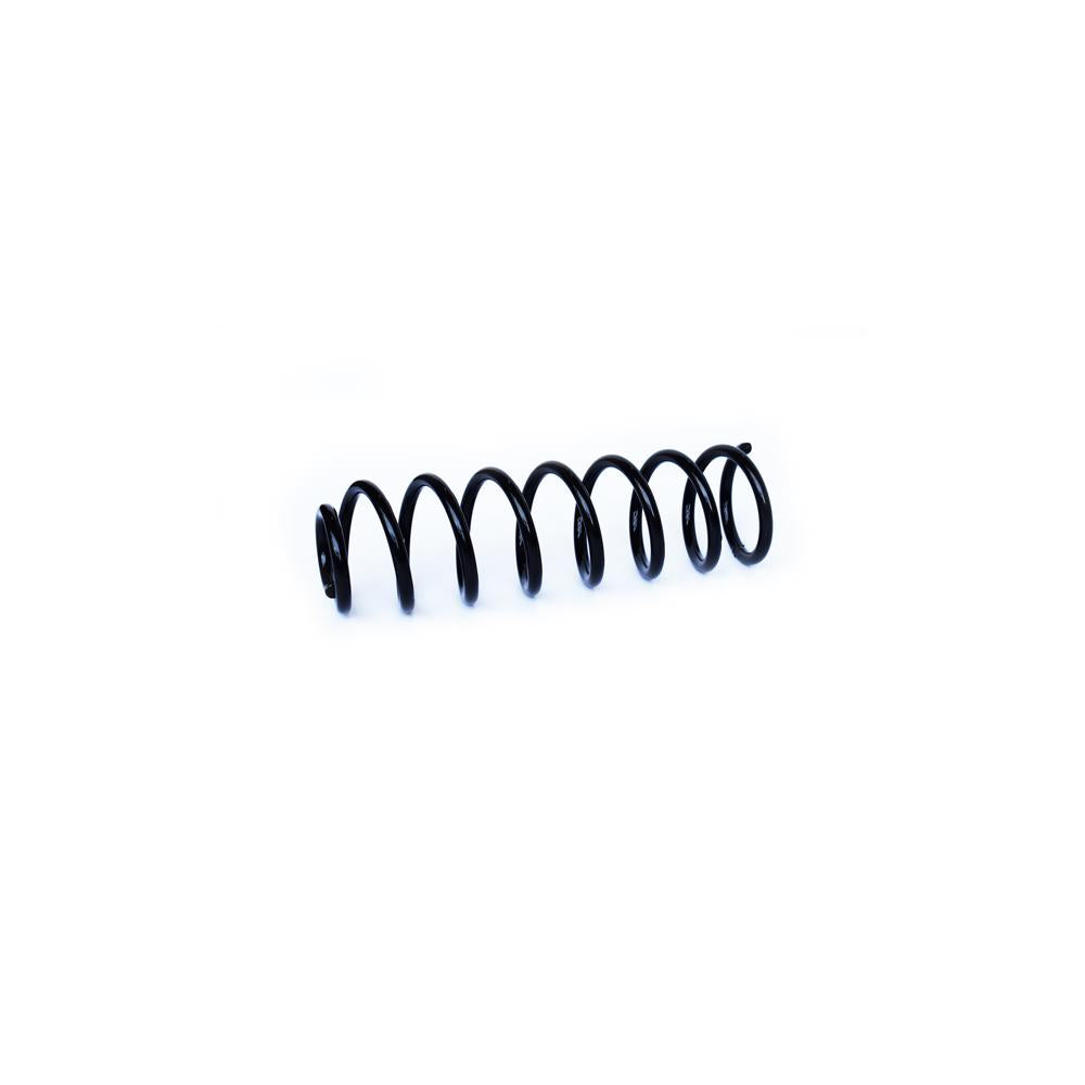 Arc suspensie spate Asam Automotive 73779