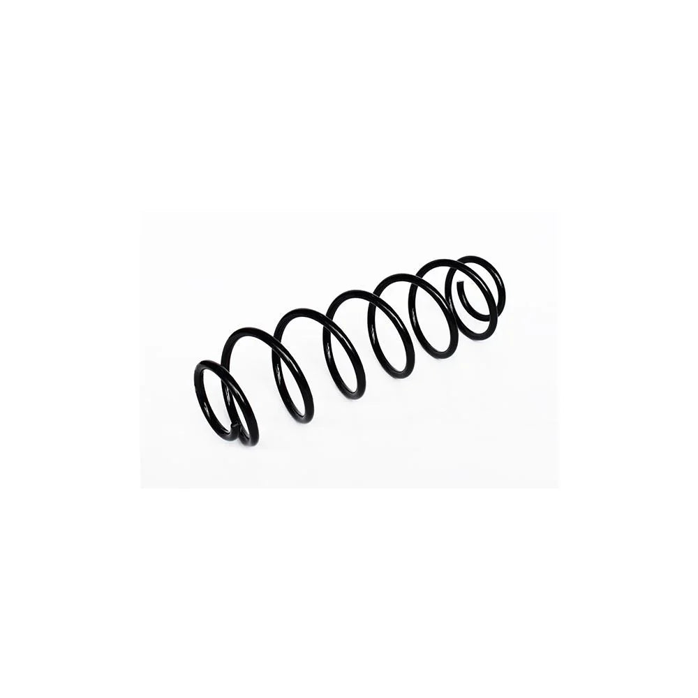 Arc suspensie spate Asam Automotive 73789