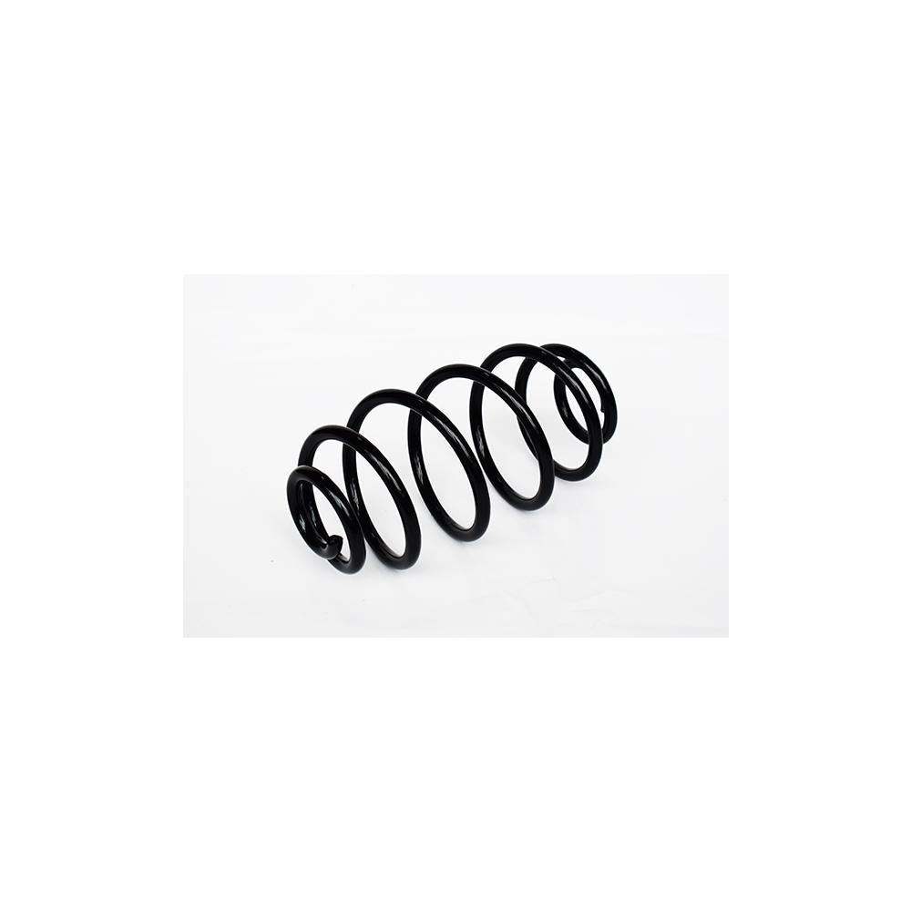Arc suspensie spate Asam Automotive 73796