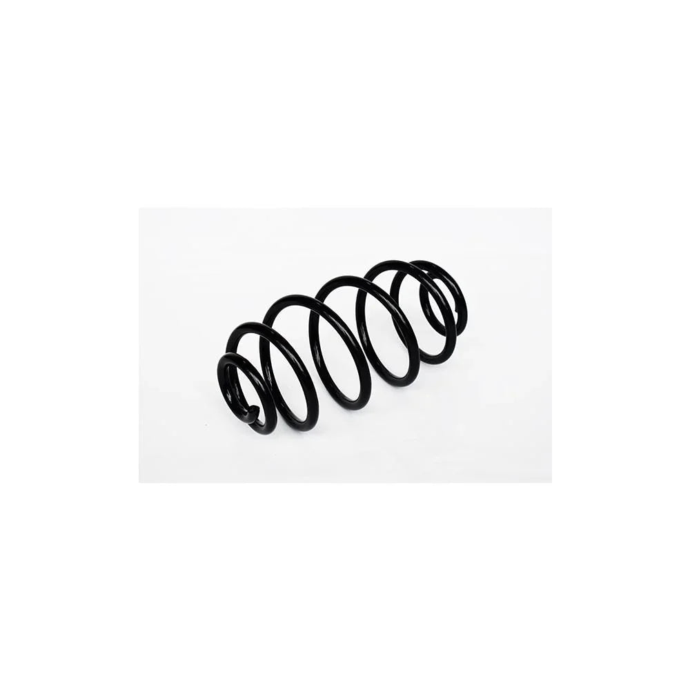 Arc suspensie spate Asam Automotive 73796