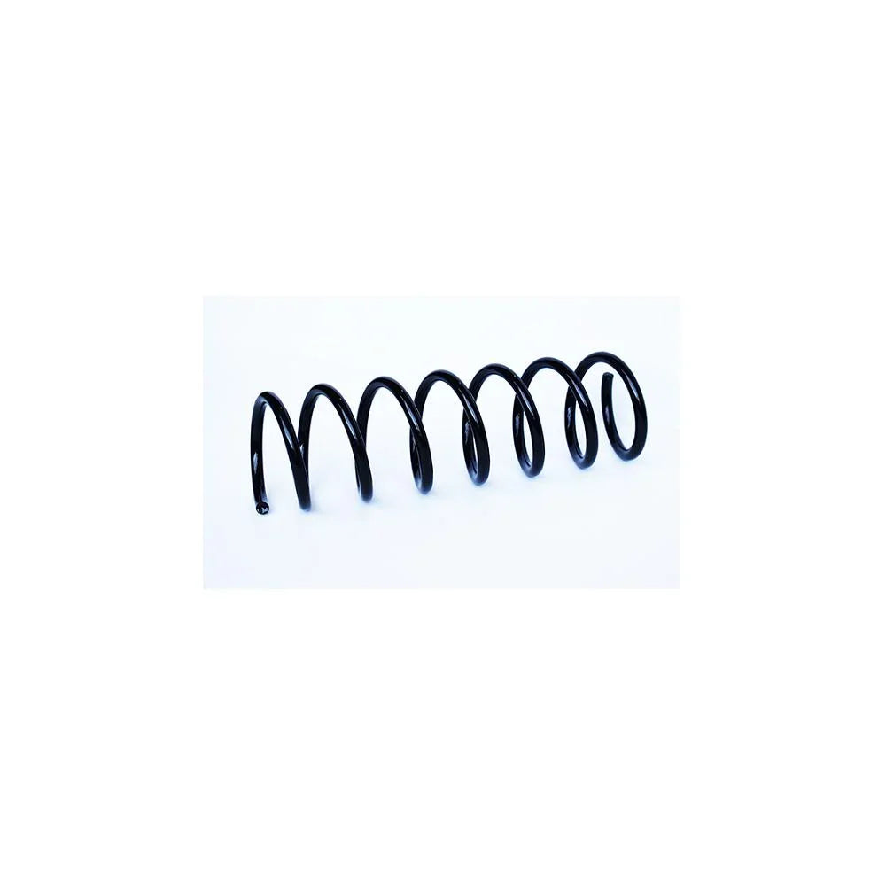 Arc suspensie spate Asam Automotive 73807