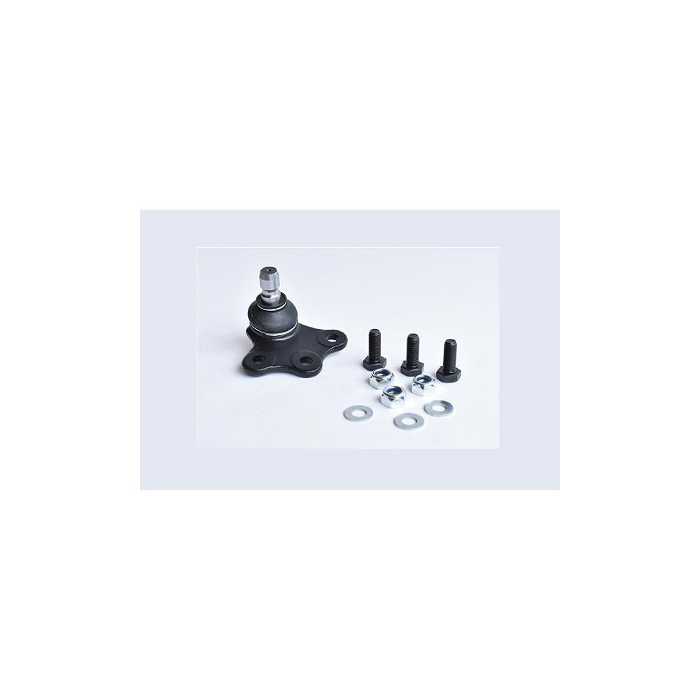Pivot suspensie dr. Asam Automotive 74596