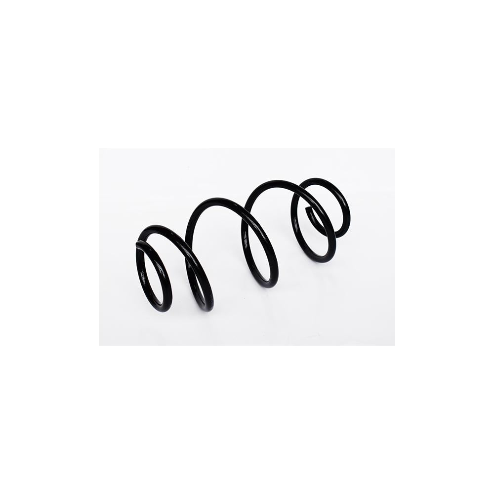 Arc suspensie spate Asam Automotive 74747