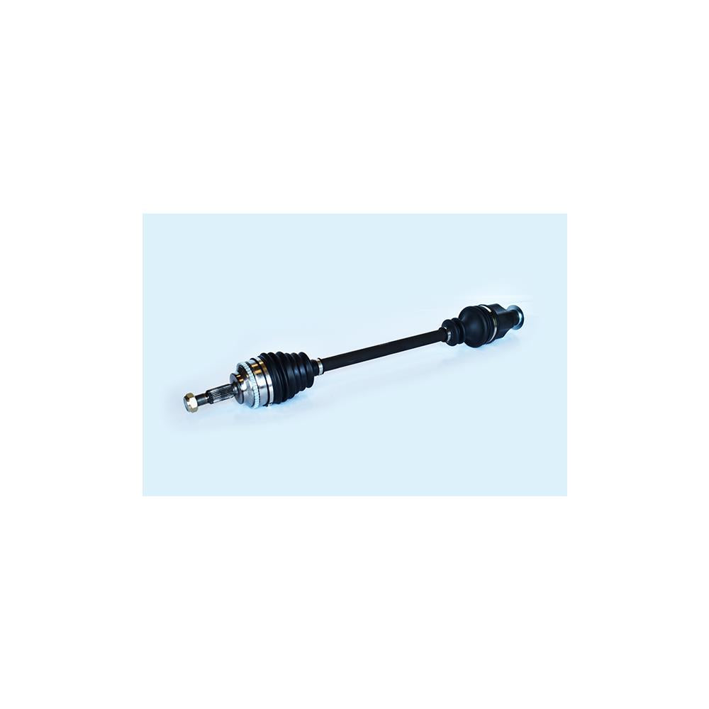 Planetara Asam Automotive 75704