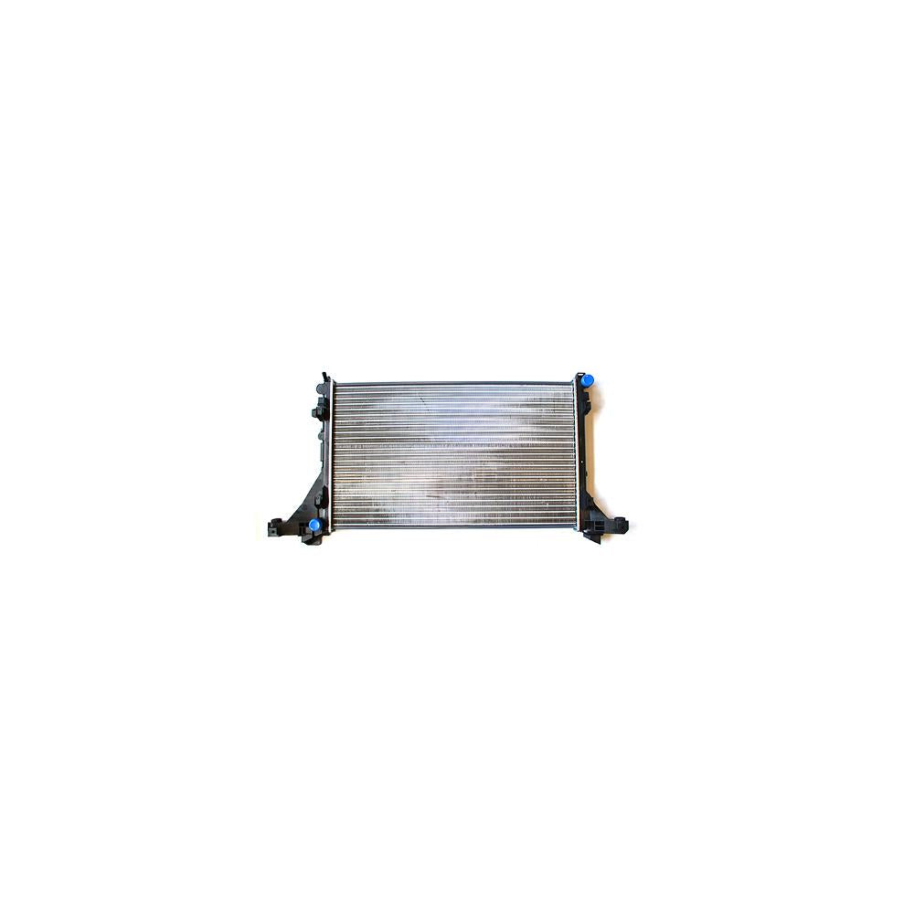 Radiator motor Asam Automotive 76501