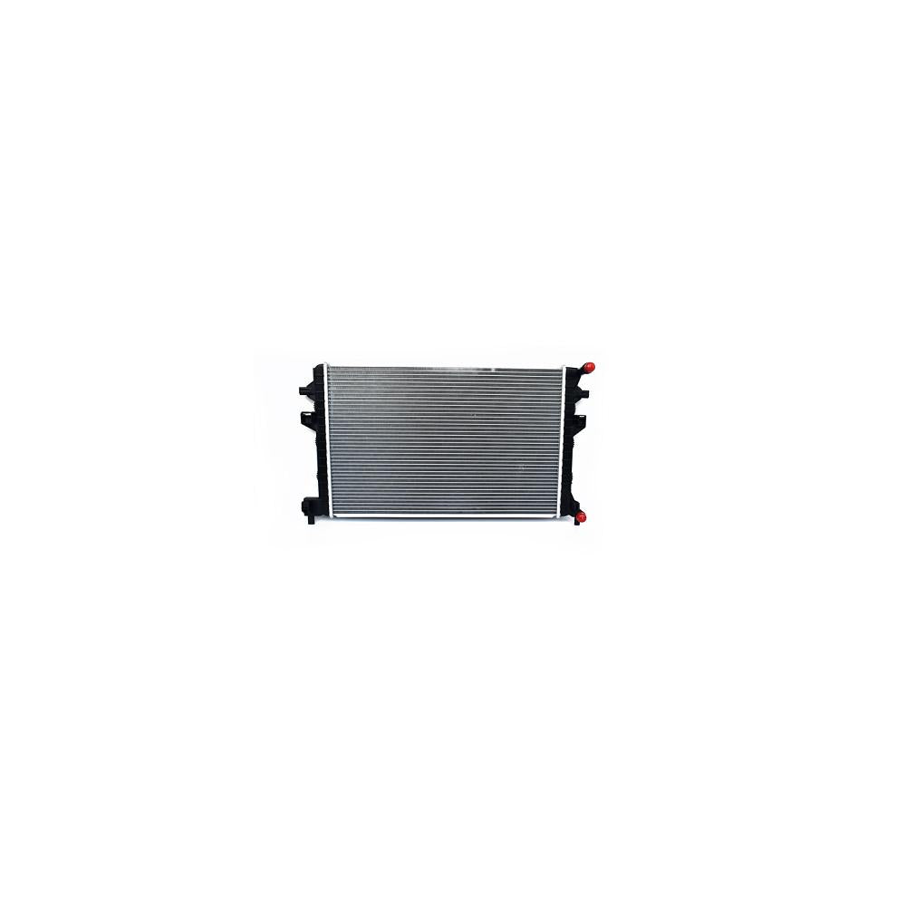 Radiator motor Asam Automotive 79716